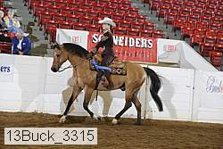 13buck_3315 proof