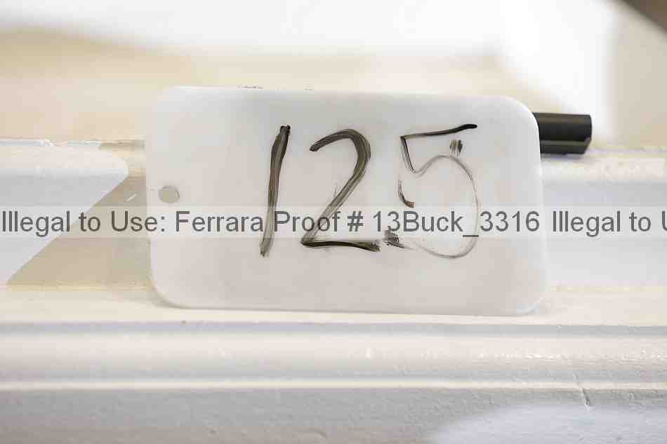 Proof 13buck_3316