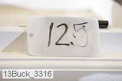 13buck_3316 proof