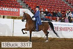 13buck_3317 proof