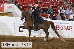 13buck_3318 proof