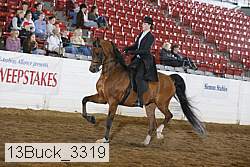 13buck_3319 proof