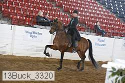 13buck_3320 proof