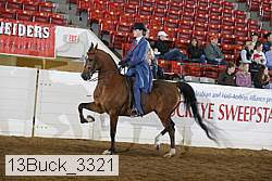 13buck_3321 proof
