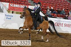 13buck_3323 proof