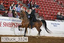 13buck_3324 proof