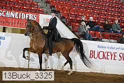 13buck_3325 proof