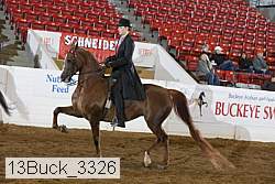 13buck_3326 proof