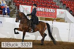 13buck_3327 proof