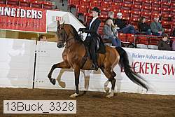 13buck_3328 proof