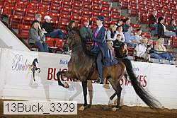 13buck_3329 proof