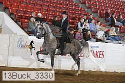 13buck_3330 proof