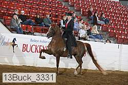 13buck_3331 proof