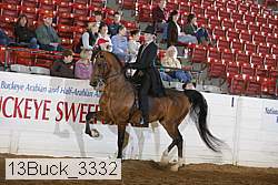 13buck_3332 proof