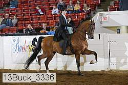 13buck_3336 proof