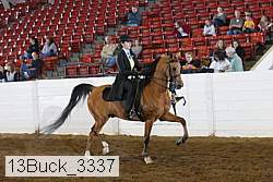 13buck_3337 proof