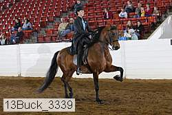 13buck_3339 proof
