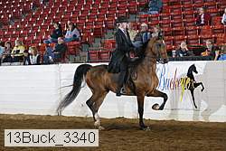 13buck_3340 proof