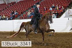 13buck_3341 proof