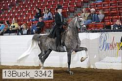 13buck_3342 proof