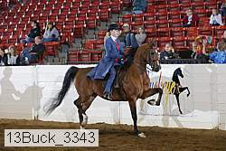 13buck_3343 proof