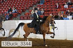 13buck_3344 proof