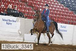 13buck_3345 proof