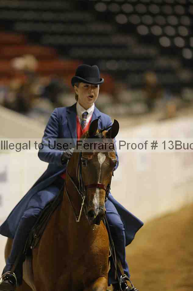 Proof 13buck_3349