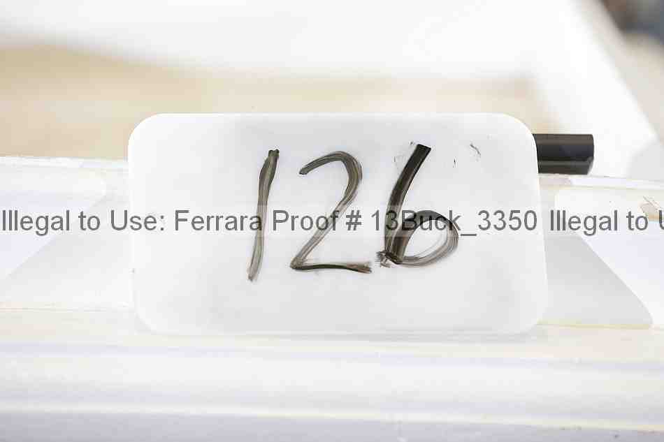 Proof 13buck_3350