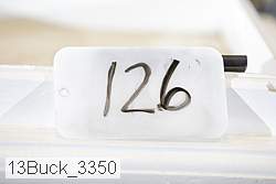 13buck_3350 proof
