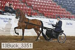 13buck_3351 proof