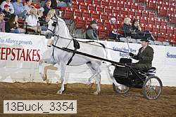 13buck_3354 proof