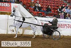 13buck_3355 proof