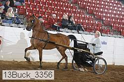 13buck_3356 proof