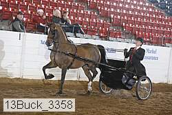 13buck_3358 proof