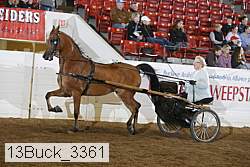 13buck_3361 proof