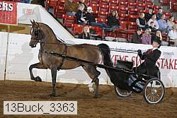 13buck_3363 proof