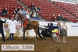 13buck_3364 proof
