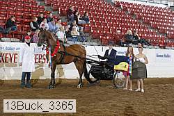 13buck_3365 proof
