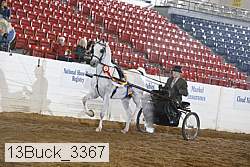 13buck_3367 proof