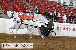 13buck_3368 proof