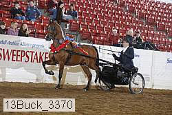 13buck_3370 proof