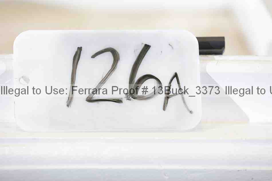 Proof 13buck_3373