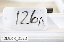 13buck_3373 proof