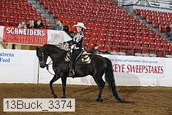 13buck_3374 proof
