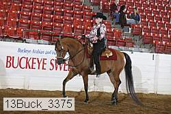 13buck_3375 proof