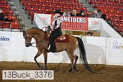 13buck_3376 proof