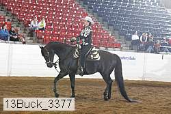 13buck_3377 proof