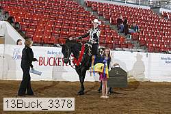 13buck_3378 proof