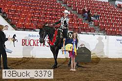13buck_3379 proof